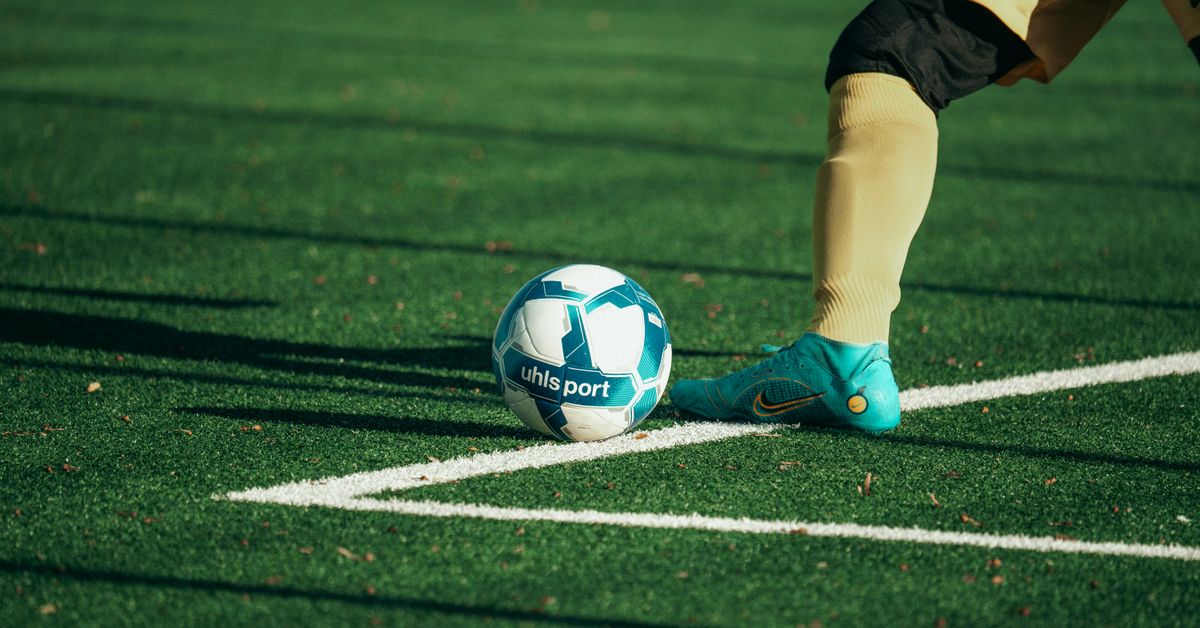 Global Influence of Major Sports Leagues