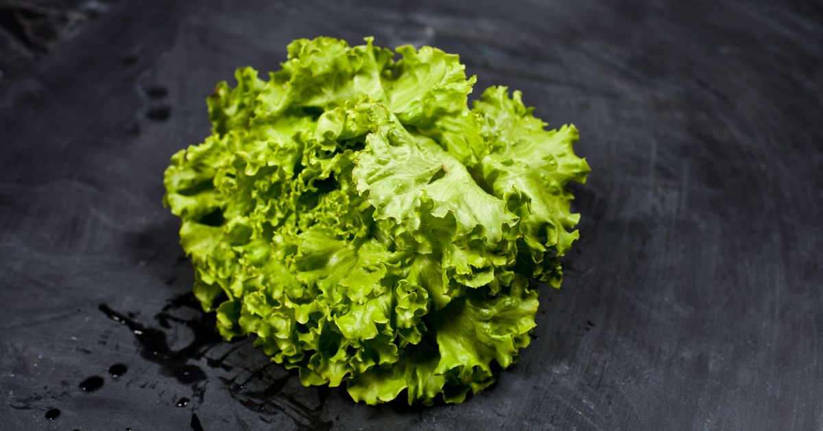 Kale Salad Recipes Nutritious and Delicious