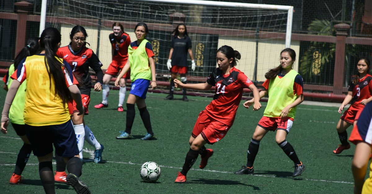 Developing Young Talent Youth Sports Programs