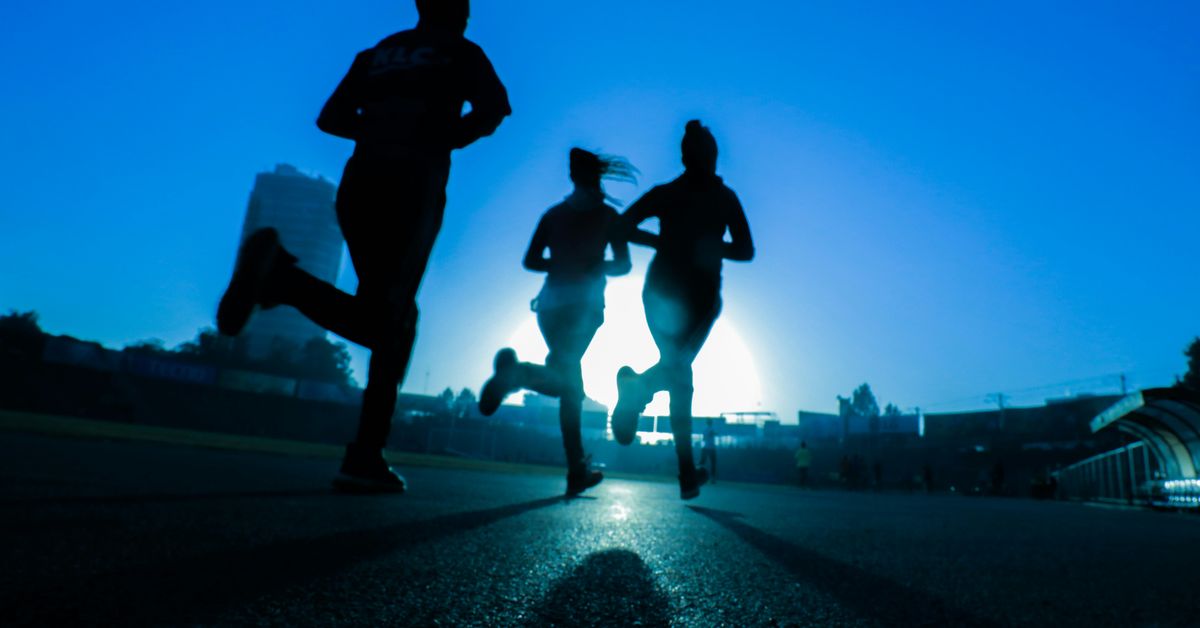Innovative Solutions for Sports Training