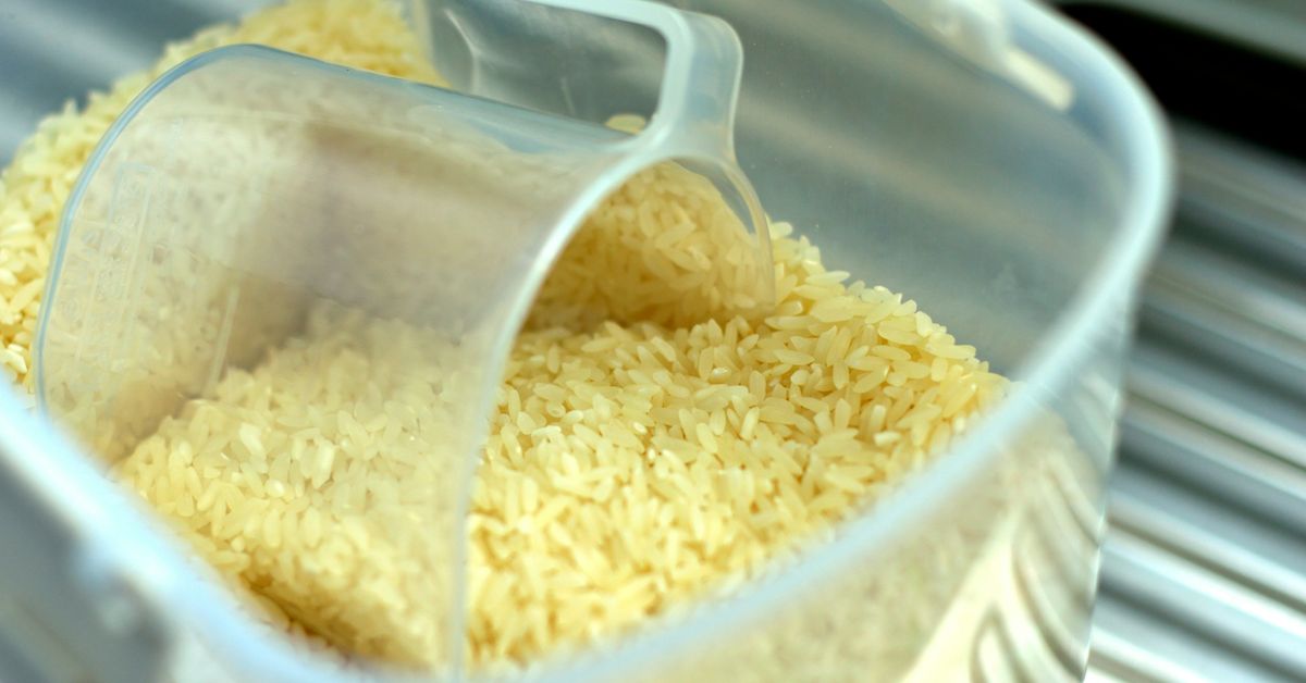 Rice Krispie Treats Recipes Sweet and Crunchy Bars