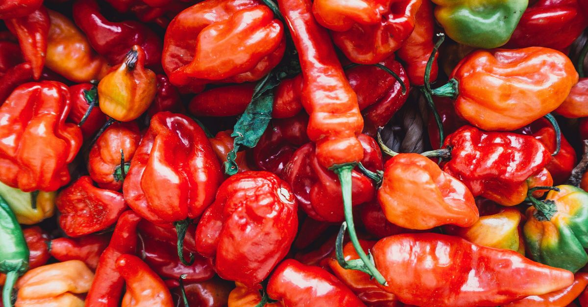 Chili Cook-Off Recipes Hearty and Spicy
